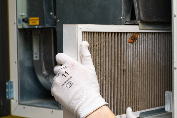 Best Air Duct Sanitizing Services  in Whitesboro, TX